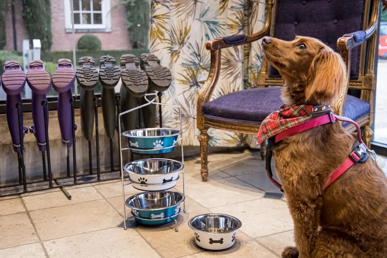 Alexander House Hotel & Utopia Spa Turners Hill 5*,  United Kingdom